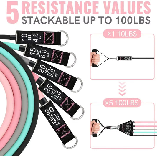 Resistance Bands for Working Out, Exercise Bands with Handles Stretch Bands with Door Anchors, 10-100LB Set (12Pcs) Makaron